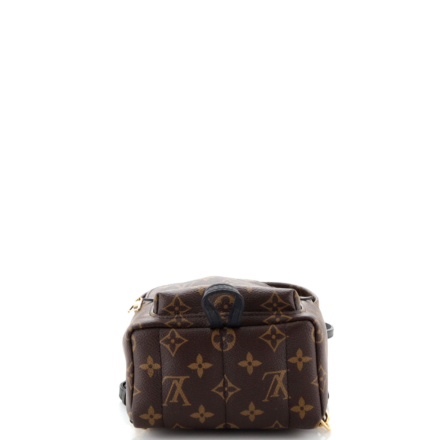Palm Springs Backpack Monogram Canvas Mini