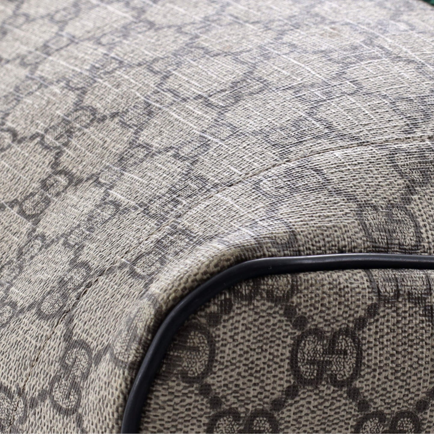 Web Backpack GG Coated Canvas Medium