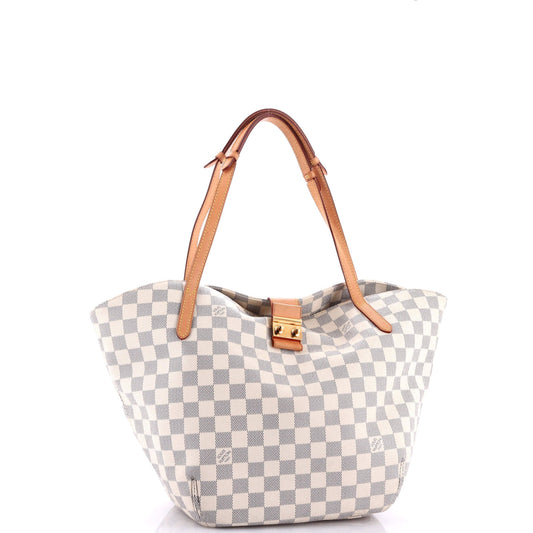 Salina Handbag Damier PM