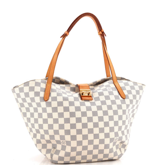 Salina Handbag Damier GM