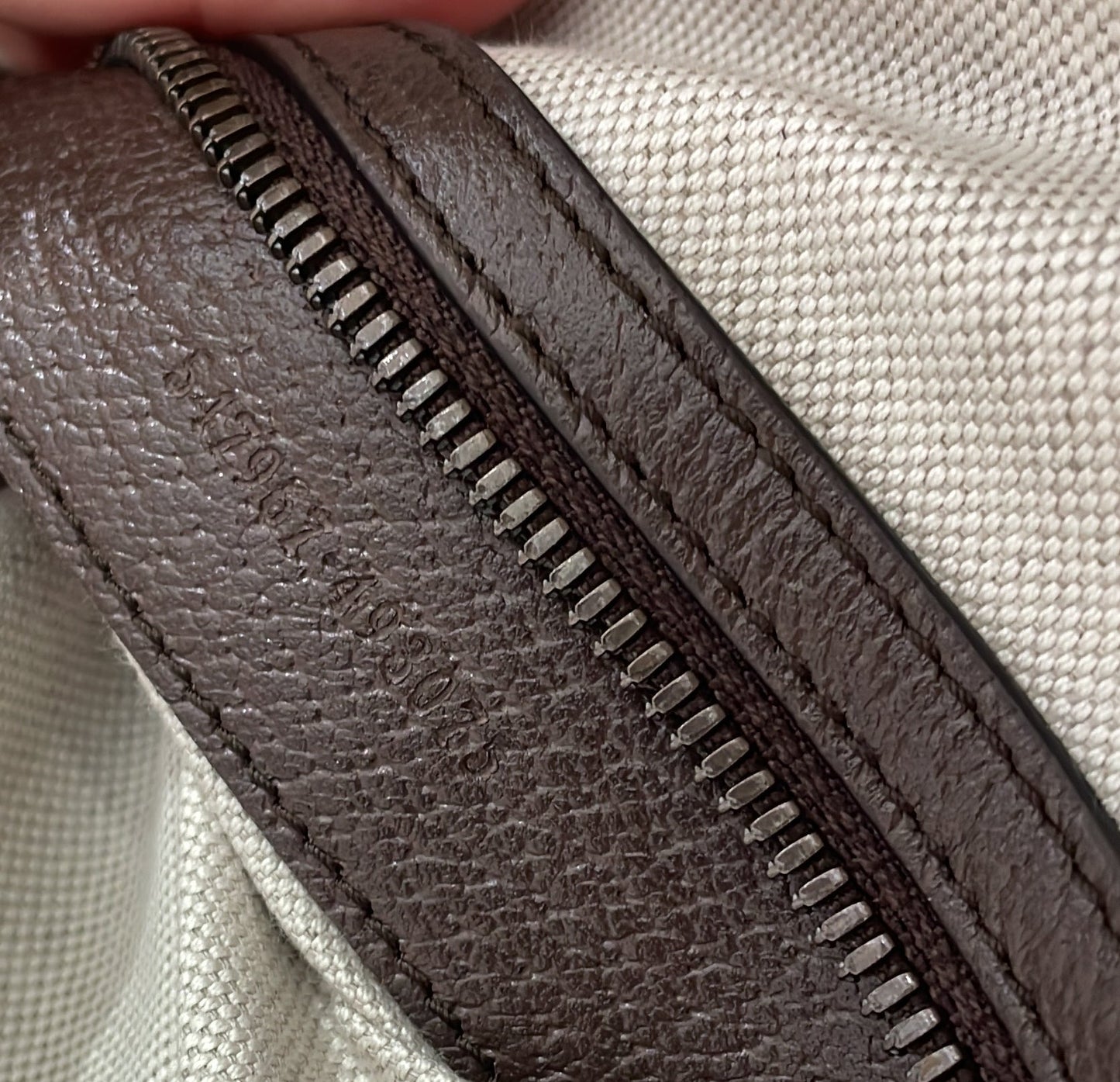 Ophidia Backpack GG Coated Canvas Medium