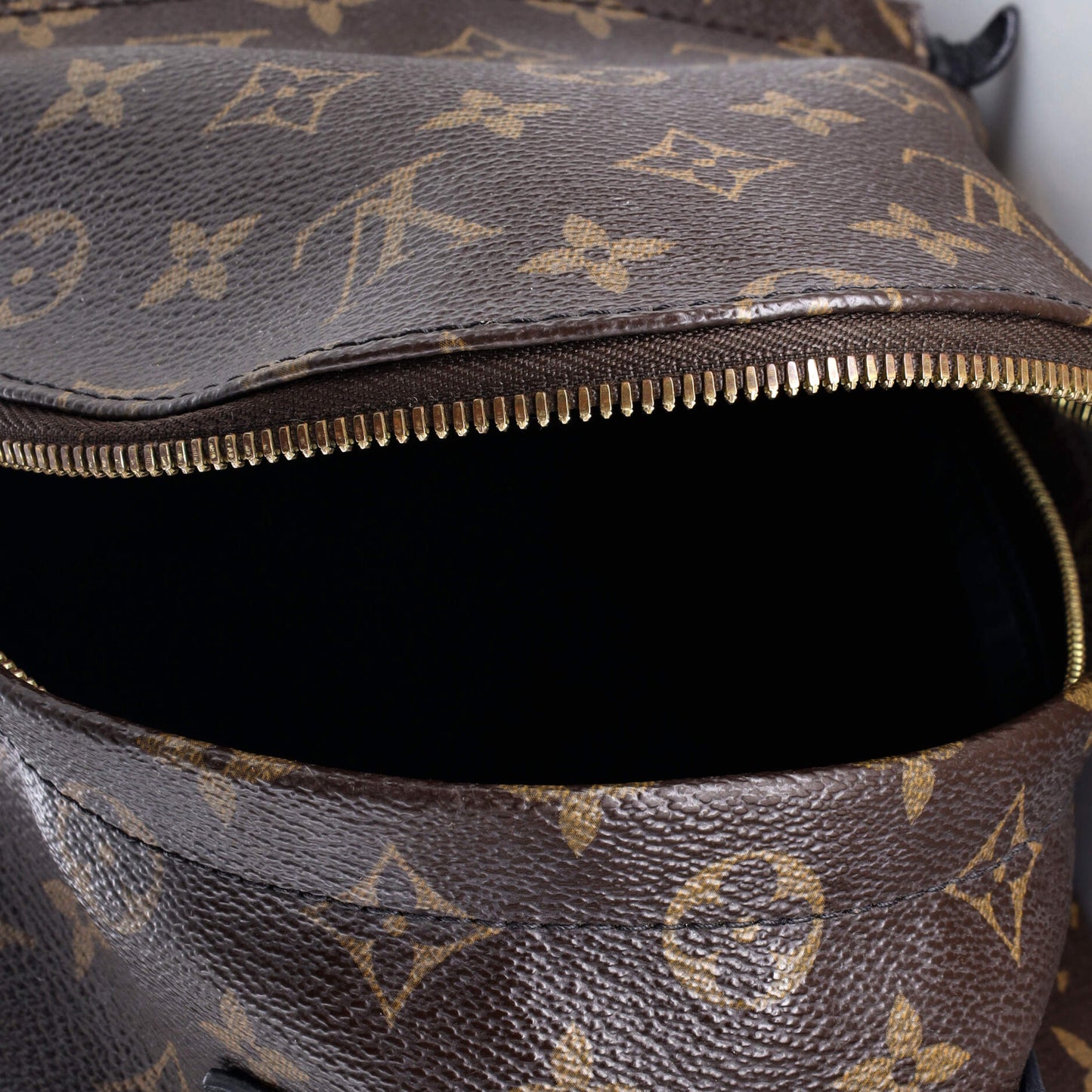 Palm Springs Backpack Monogram Canvas PM