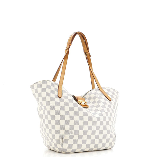 Salina Handbag Damier PM