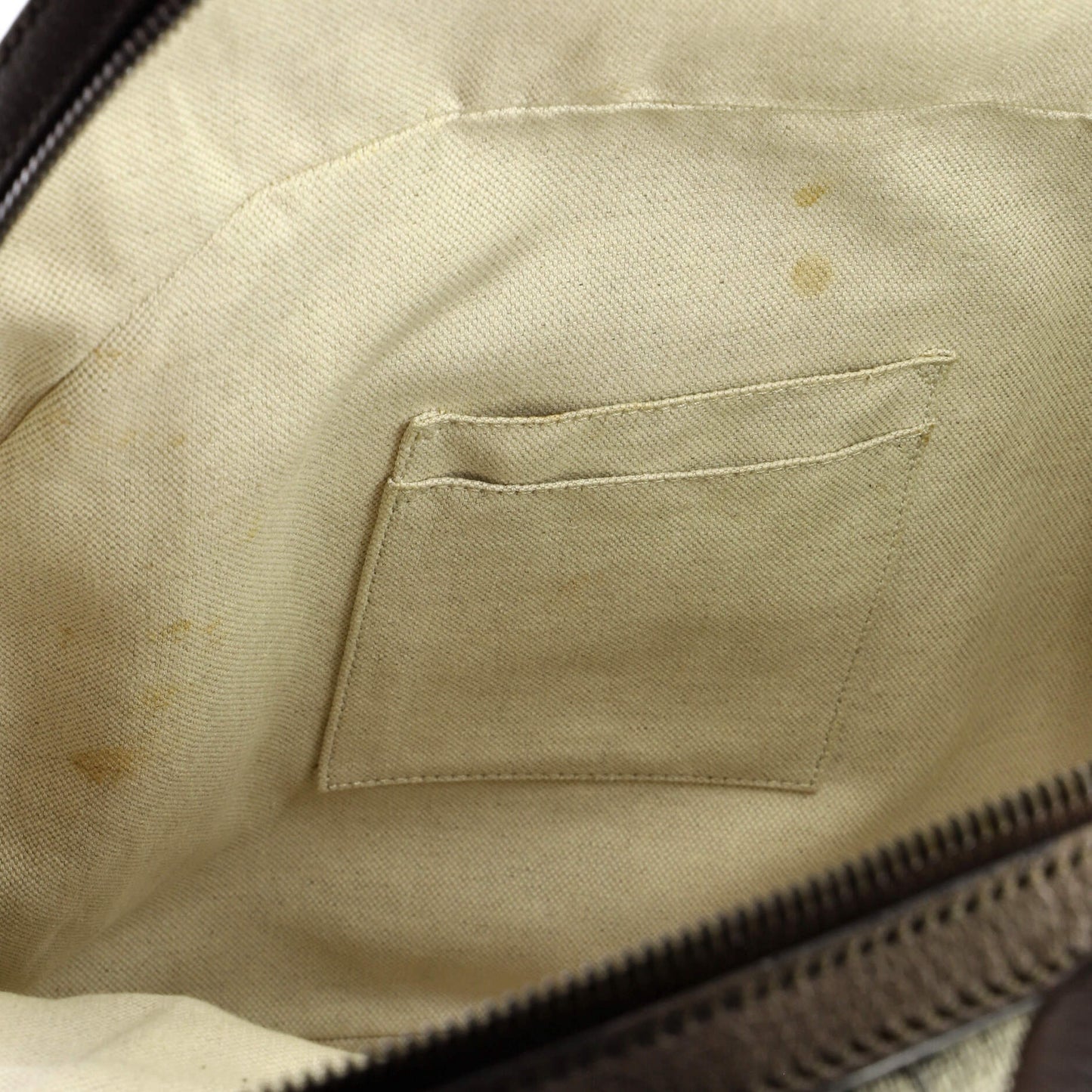 Ophidia Backpack GG Coated Canvas Medium