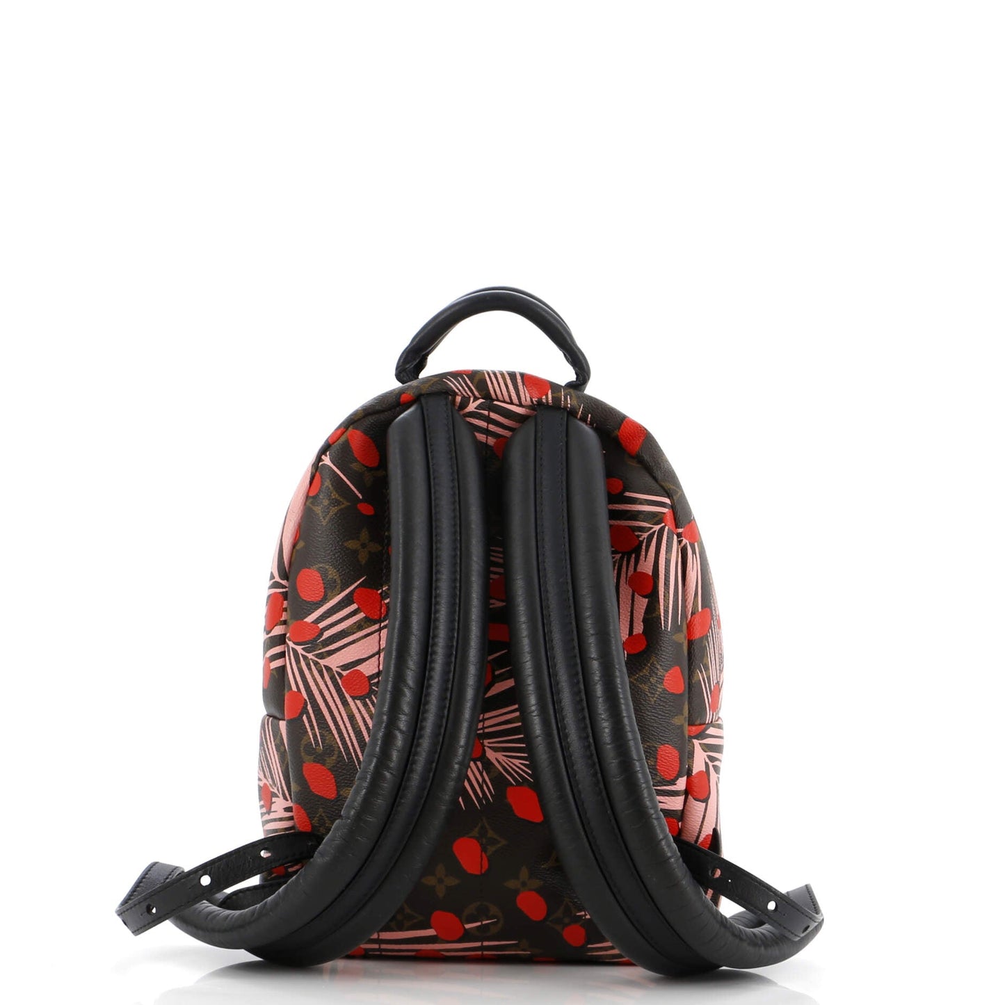 Palm Springs Backpack Limited Edition Monogram Jungle Dots PM