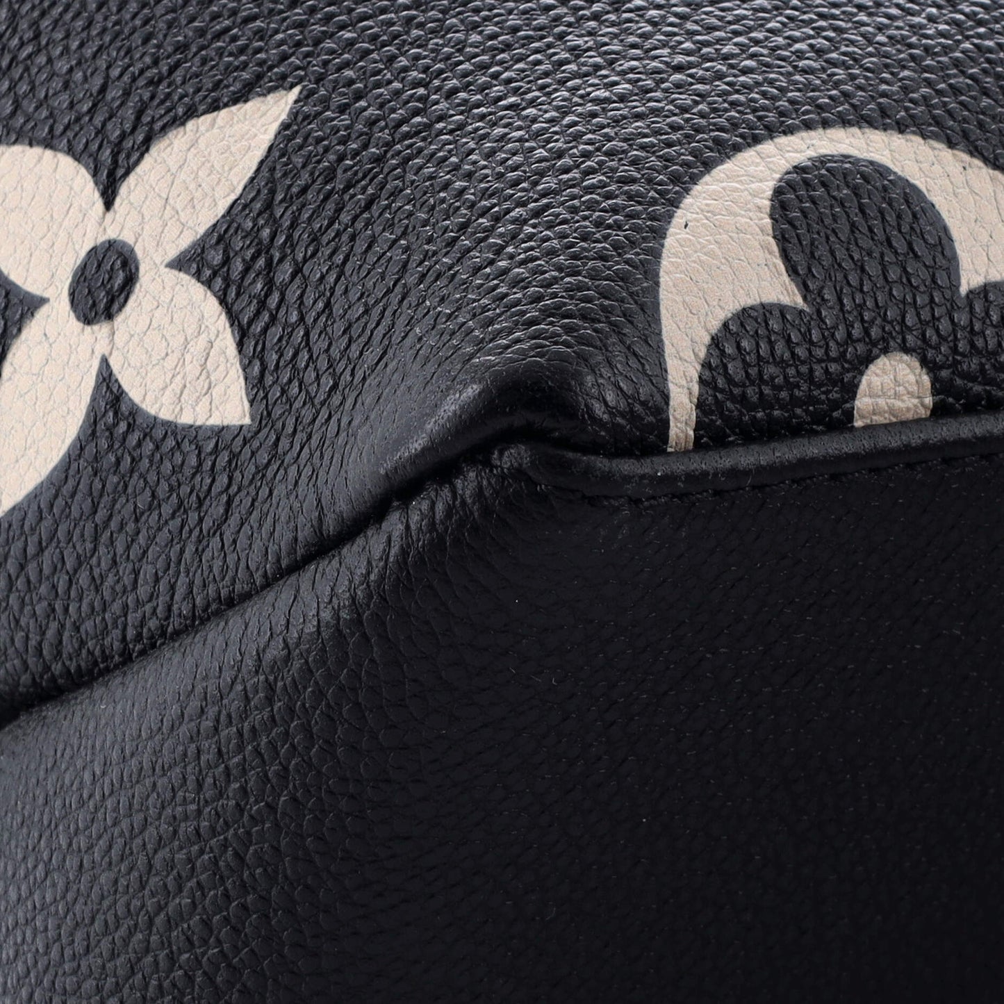 Petit Palais Handbag Bicolor Monogram Empreinte Giant