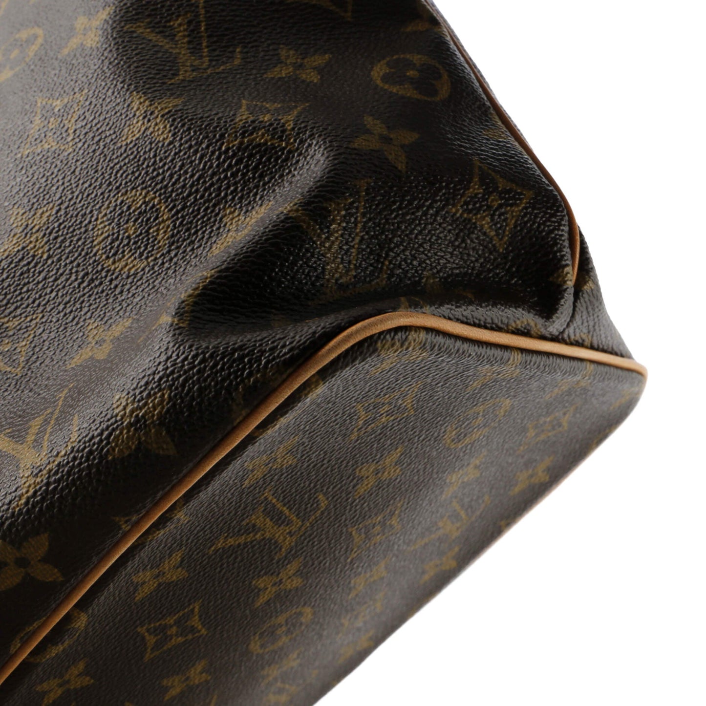 Palermo Handbag Monogram Canvas PM