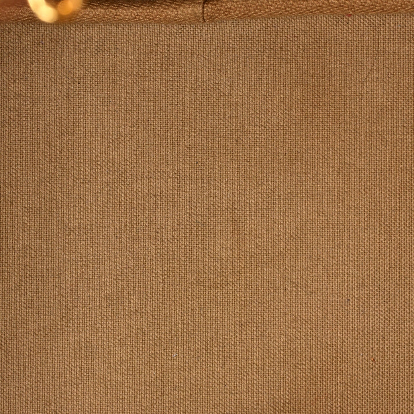 Neverfull NM Tote Monogram Canvas MM