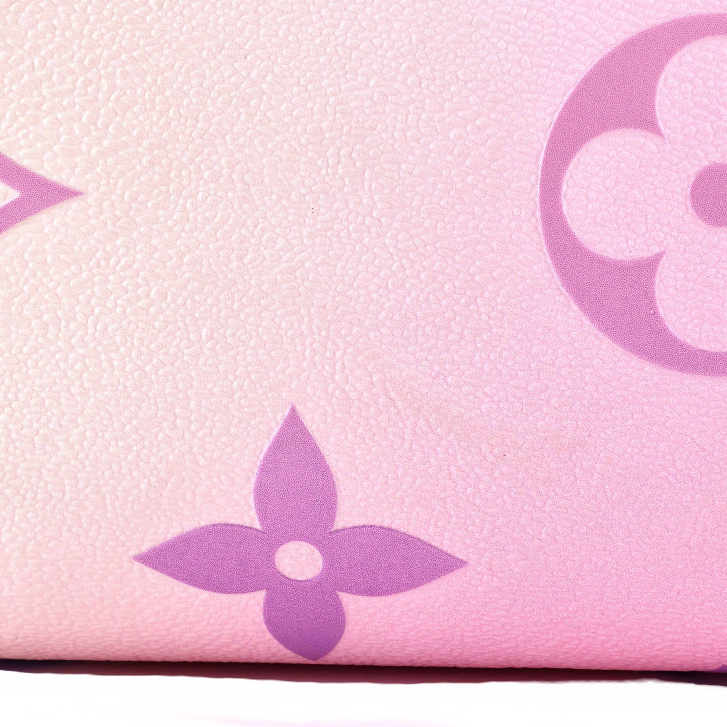 OnTheGo Tote Spring in the City Monogram Giant Canvas GM