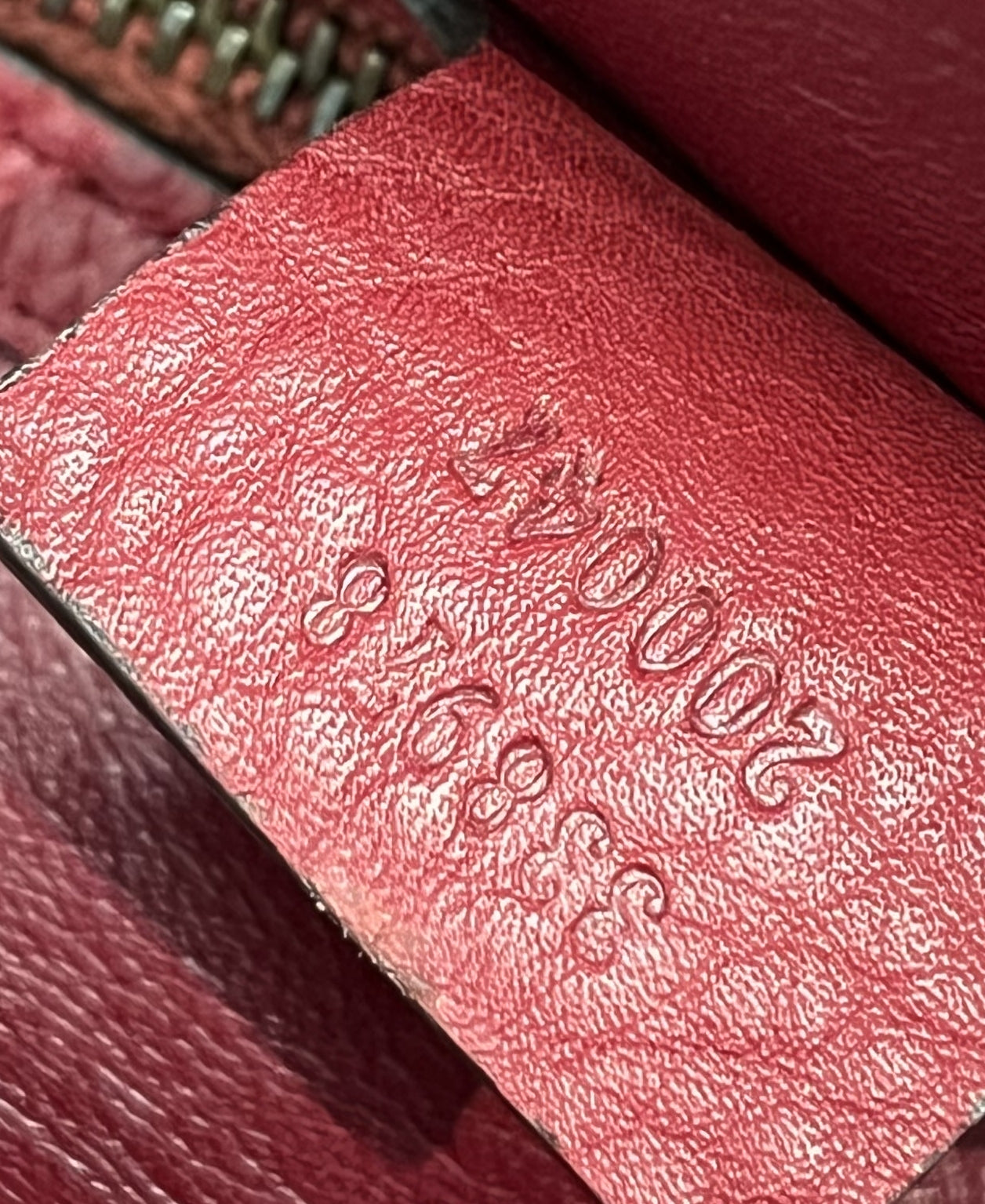 Hip Tote Python Large