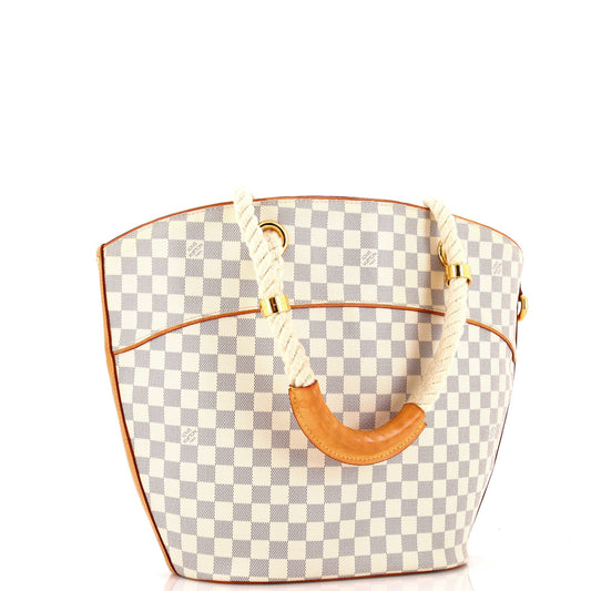 Pampelonne Handbag Damier PM