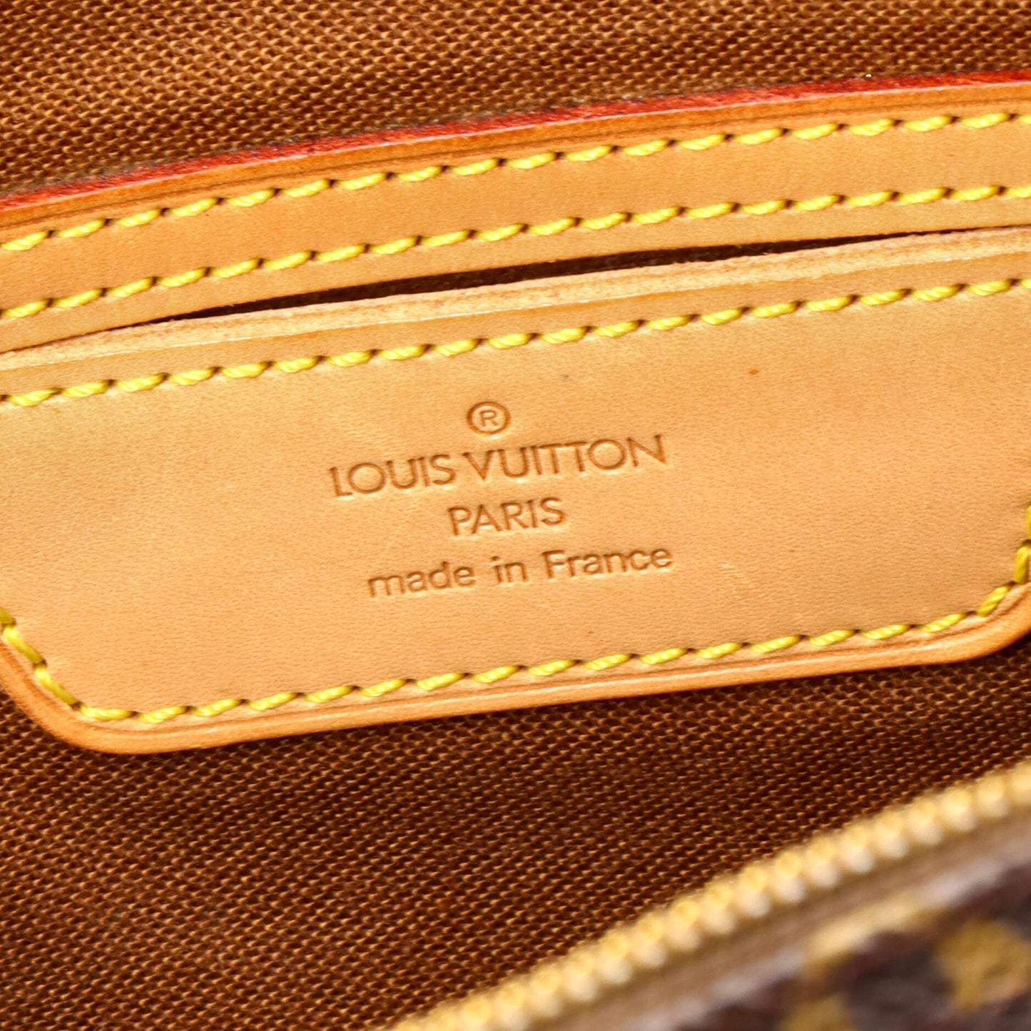 Flanerie Handbag Monogram Canvas 45