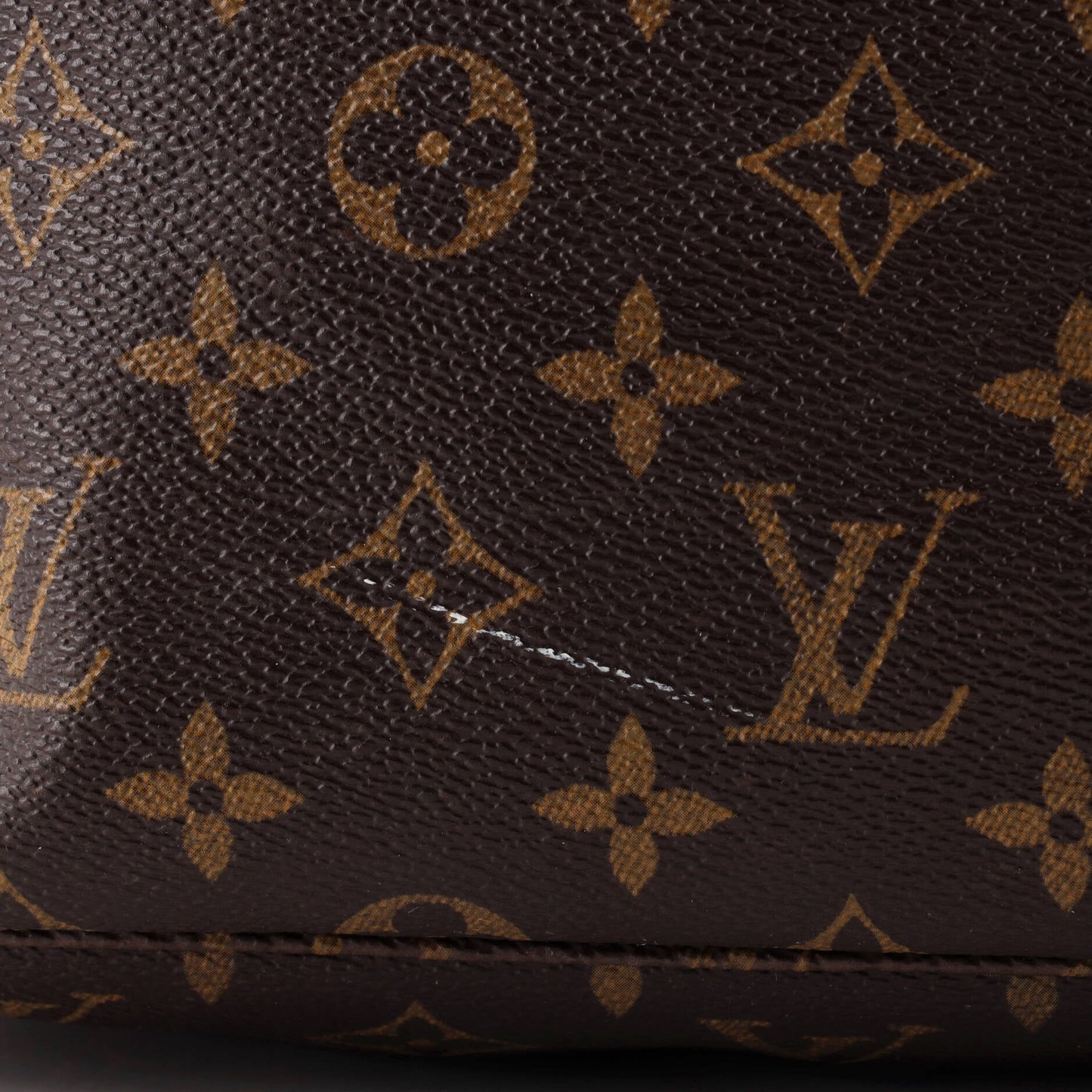 Neverfull NM Tote Monogram Canvas GM
