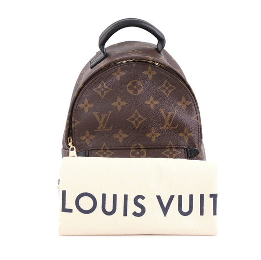 Palm Springs Backpack Monogram Canvas Mini