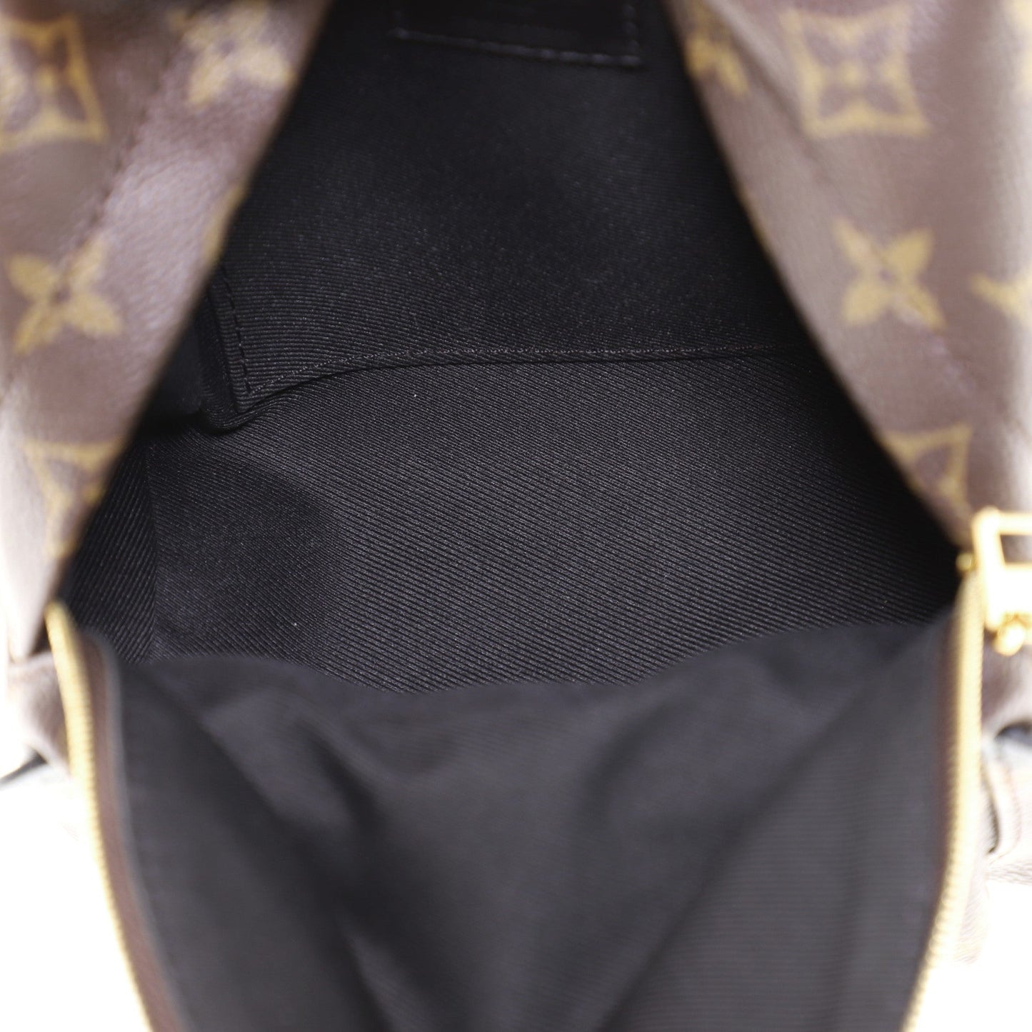 Palm Springs Backpack Monogram Canvas Mini