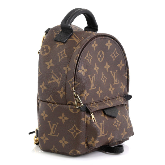 Palm Springs Backpack Monogram Canvas Mini