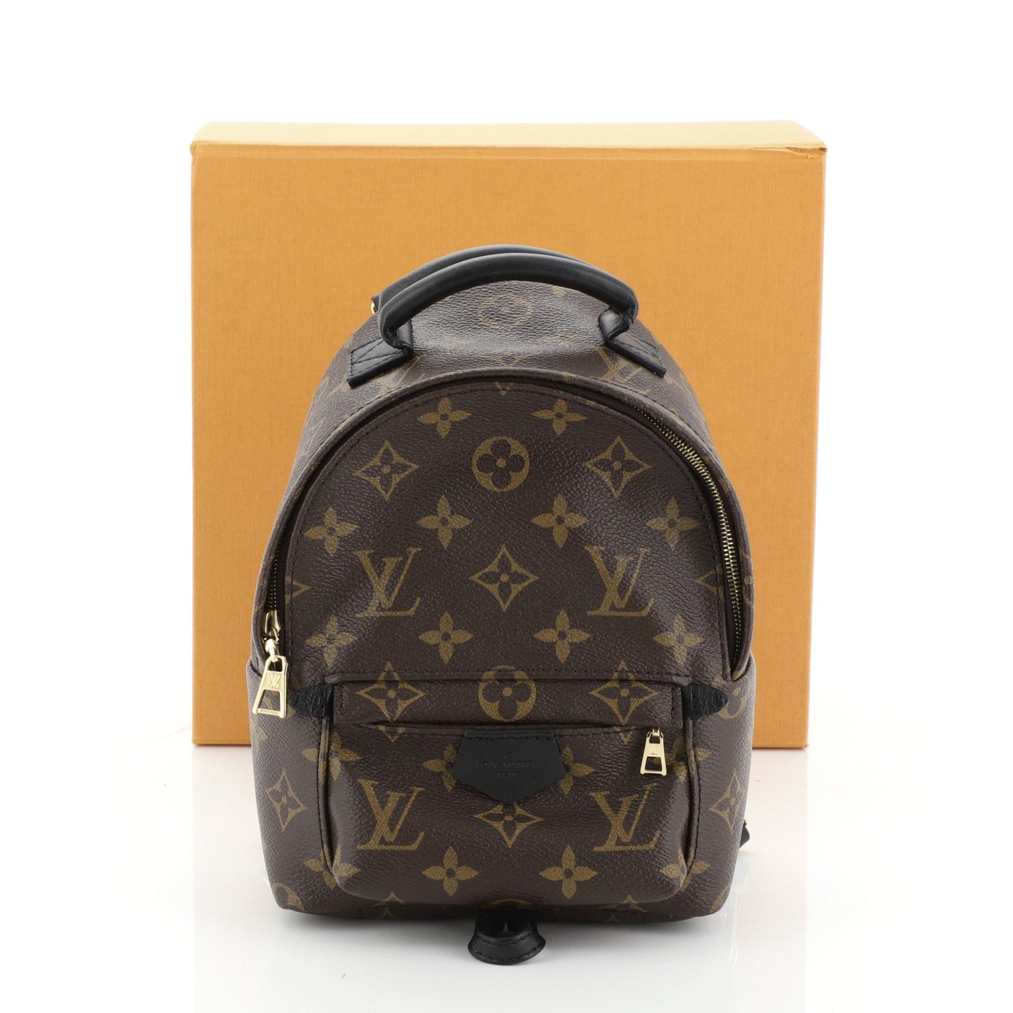 Palm Springs Backpack Monogram Canvas Mini