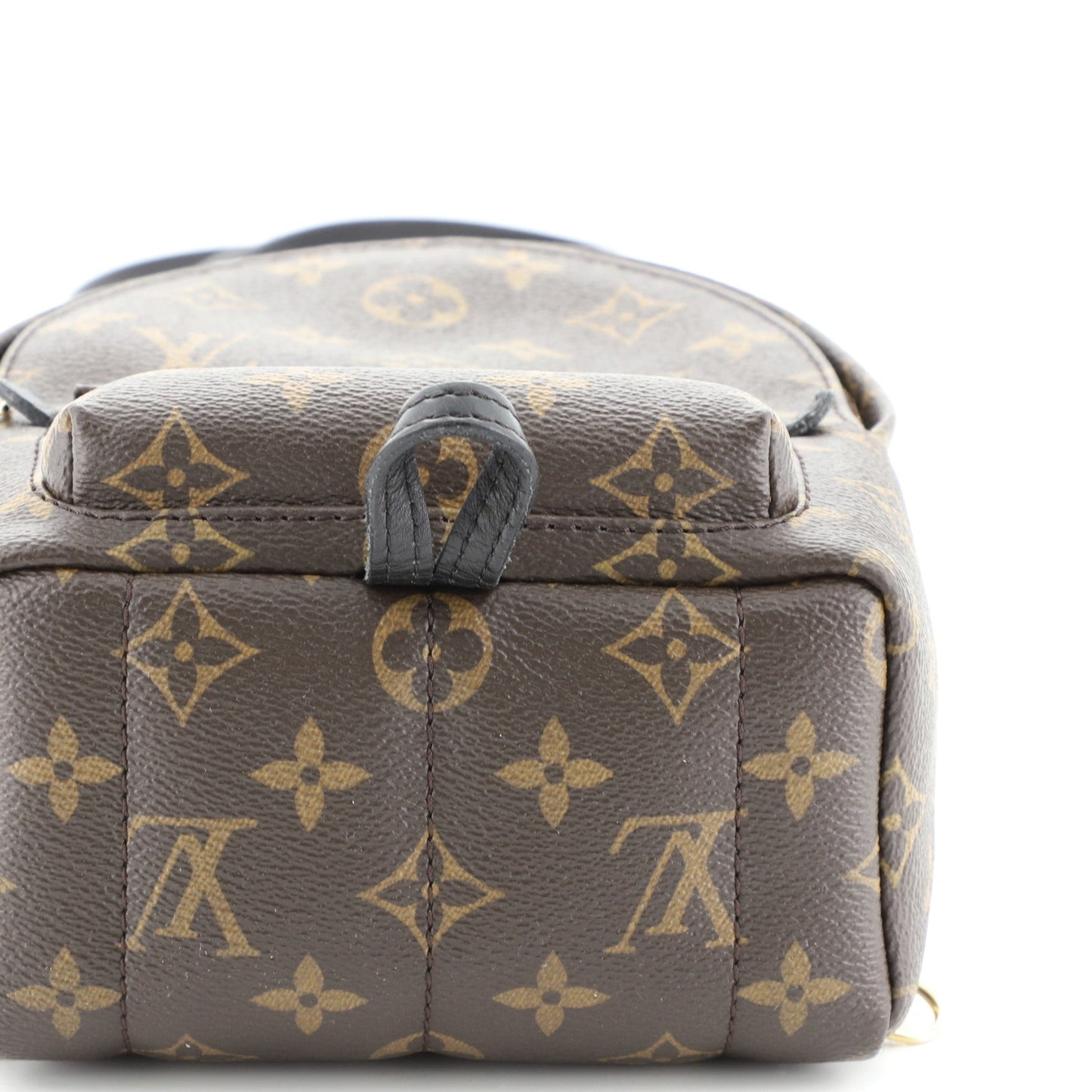 Palm Springs Backpack Monogram Canvas Mini