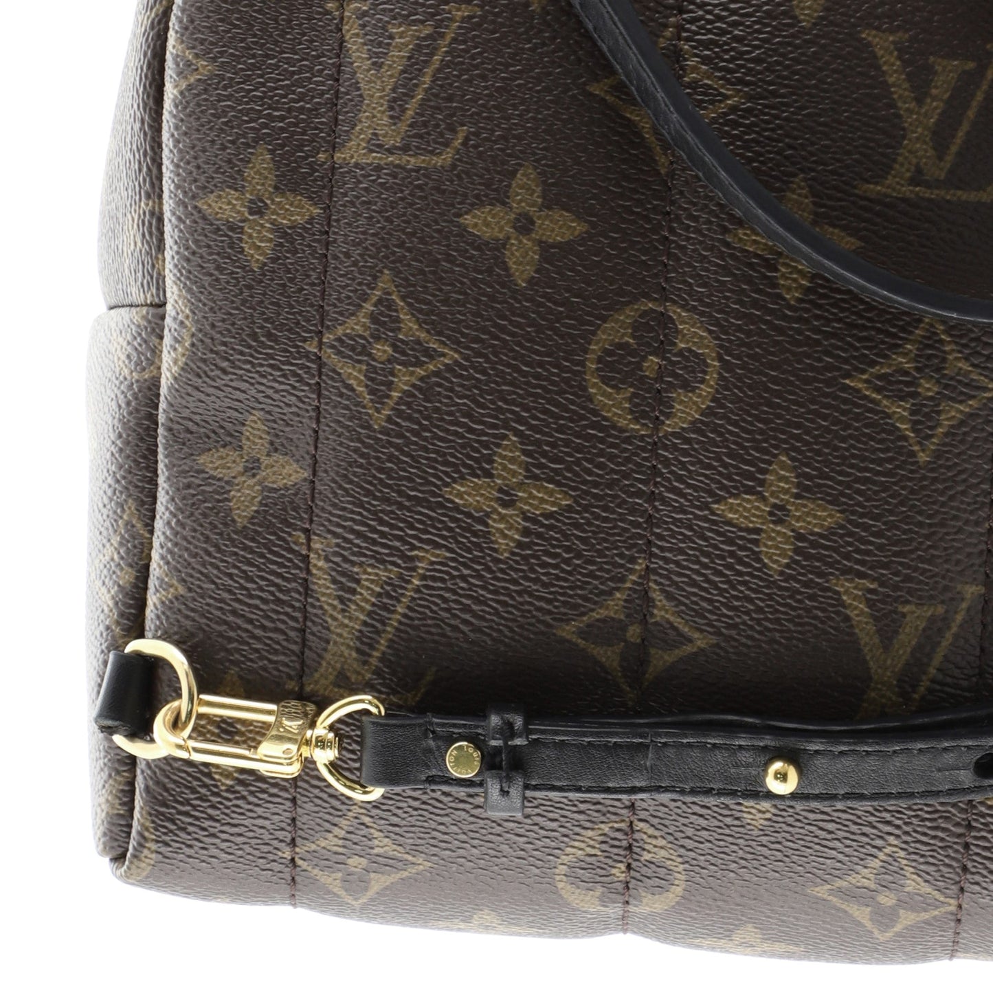 Palm Springs Backpack Monogram Canvas Mini