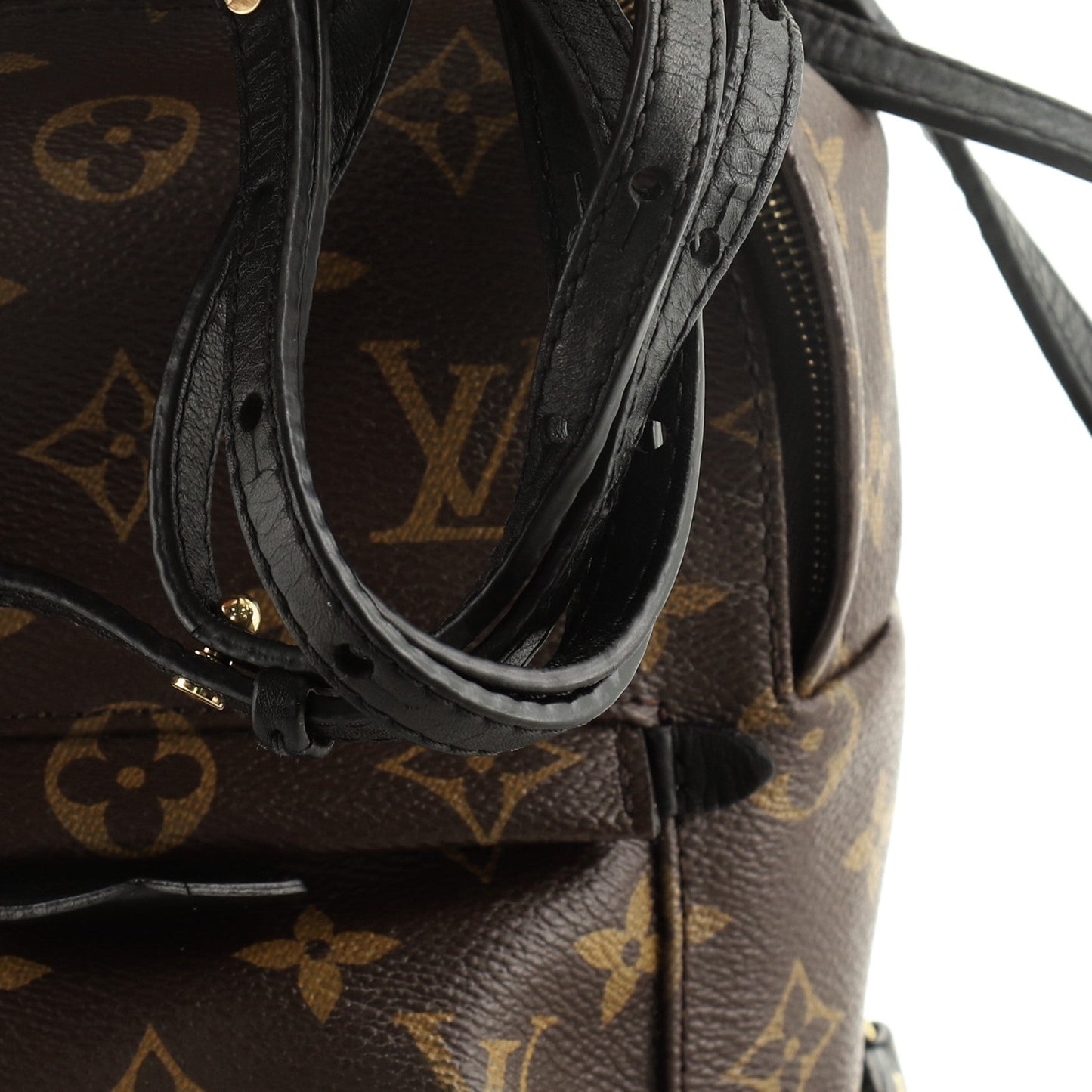 Palm Springs Backpack Monogram Canvas Mini