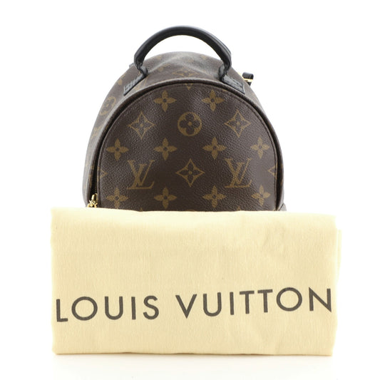 Palm Springs Backpack Monogram Canvas Mini