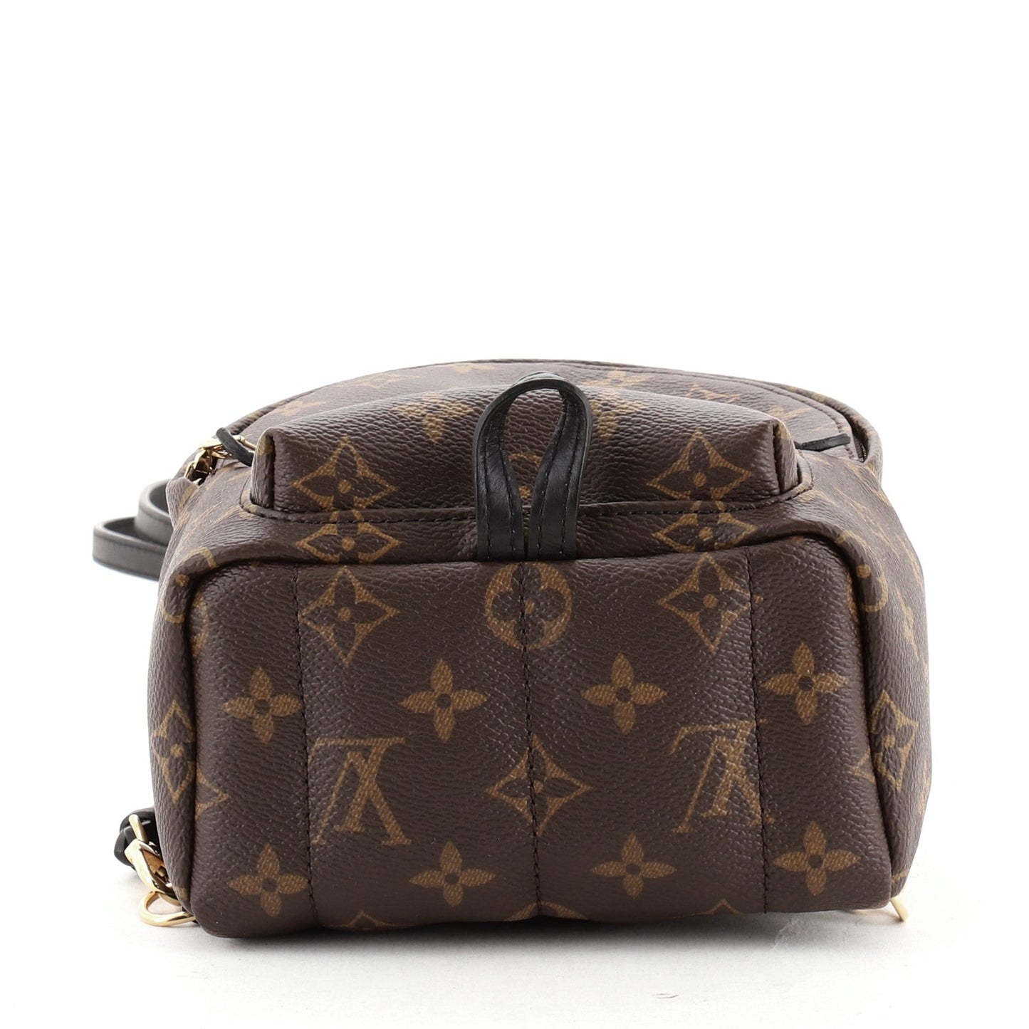 Palm Springs Backpack Monogram Canvas Mini