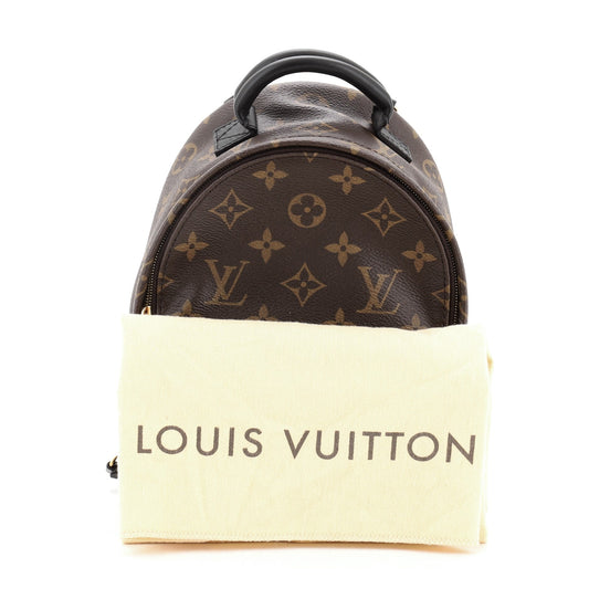 Palm Springs Backpack Monogram Canvas Mini