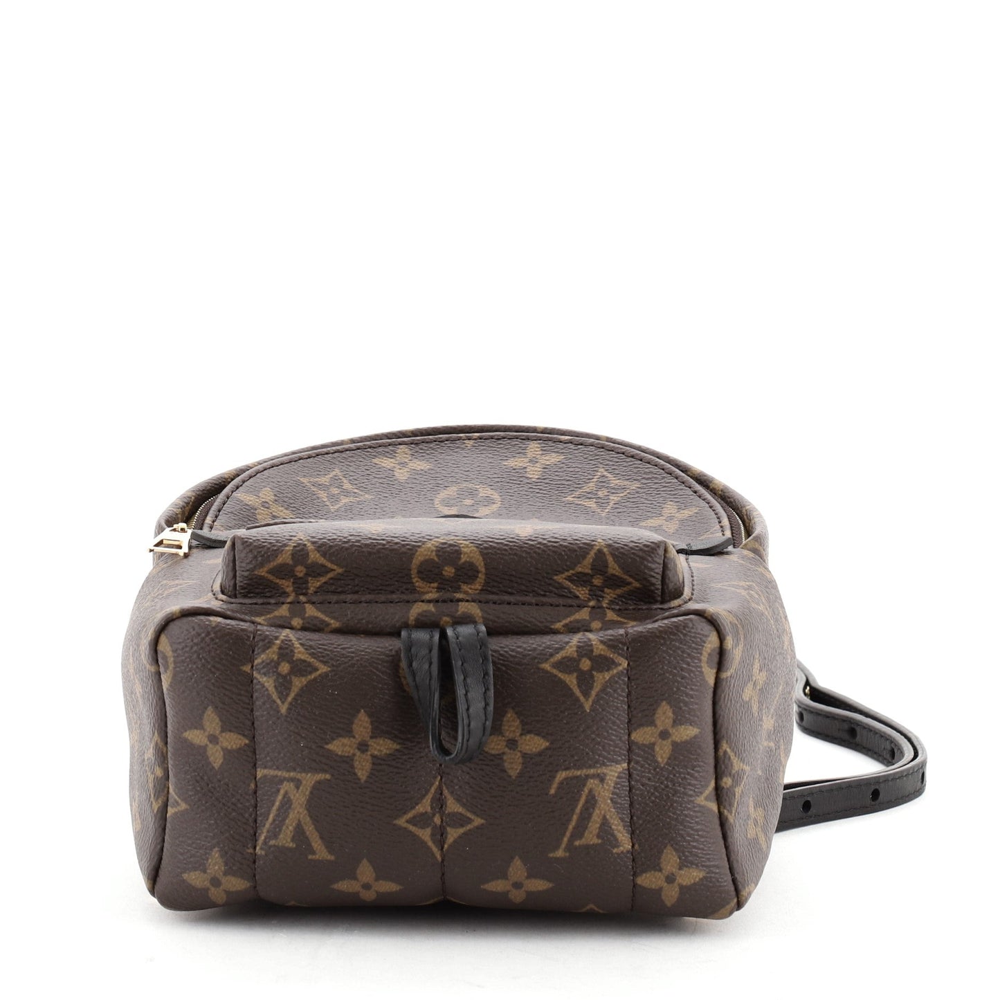 Palm Springs Backpack Monogram Canvas Mini
