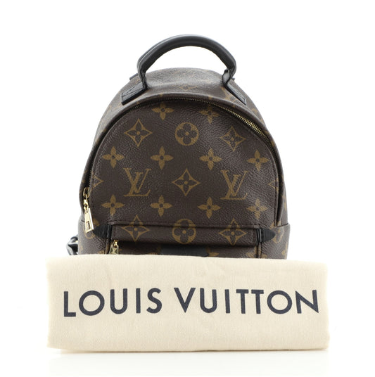 Palm Springs Backpack Monogram Canvas Mini