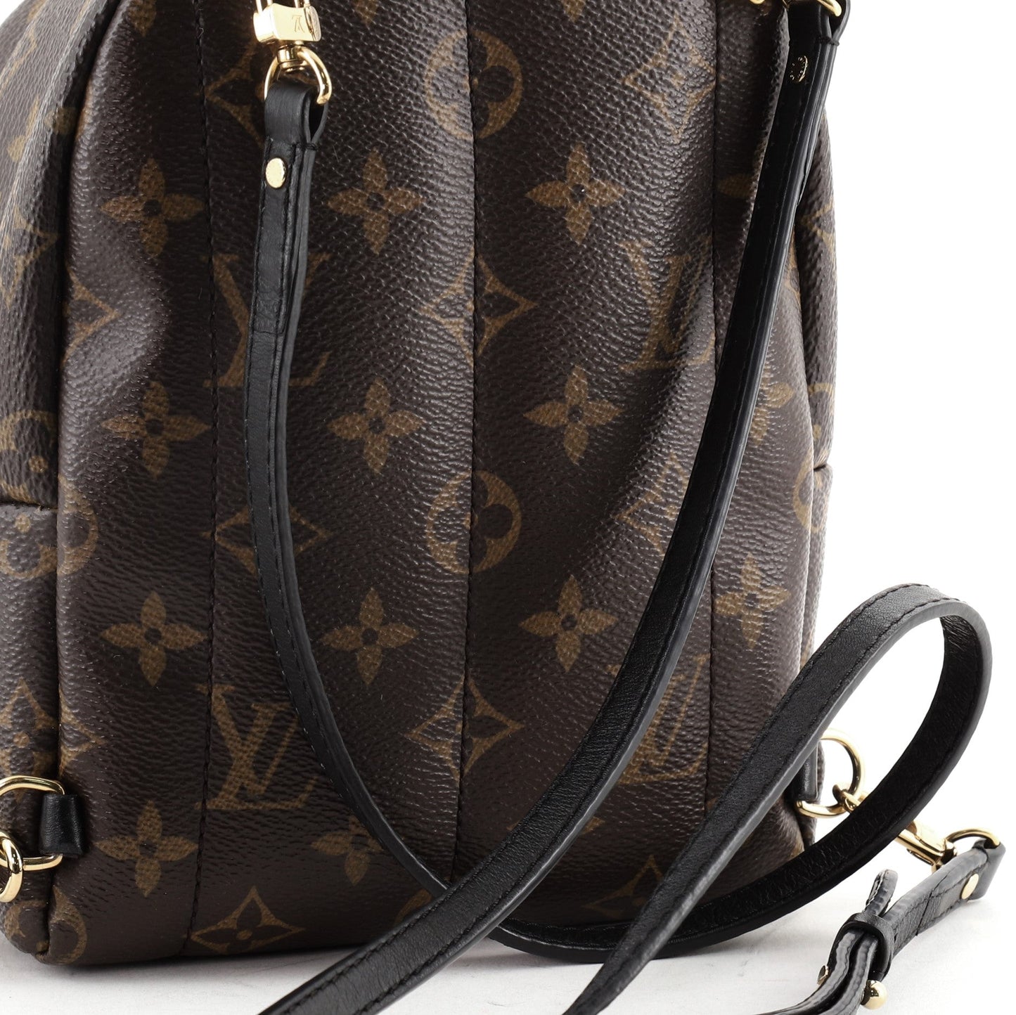 Palm Springs Backpack Monogram Canvas Mini