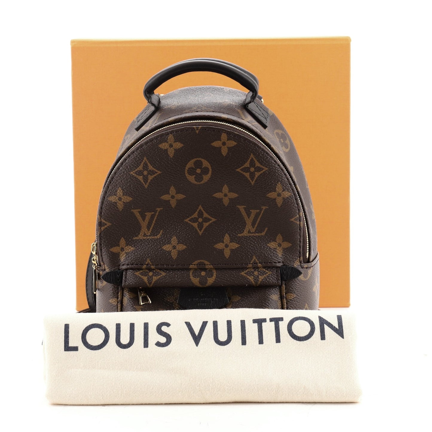 Palm Springs Backpack Monogram Canvas Mini