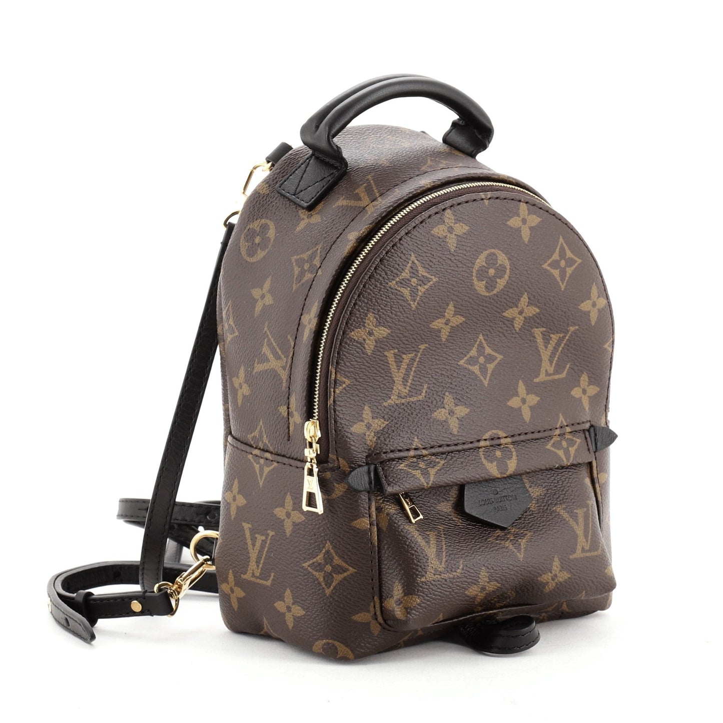 Palm Springs Backpack Monogram Canvas Mini