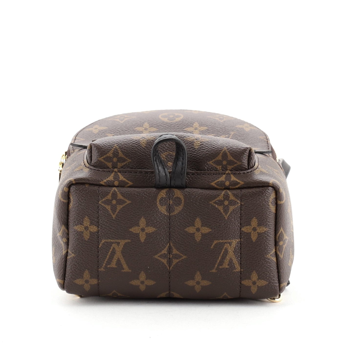 Palm Springs Backpack Monogram Canvas Mini