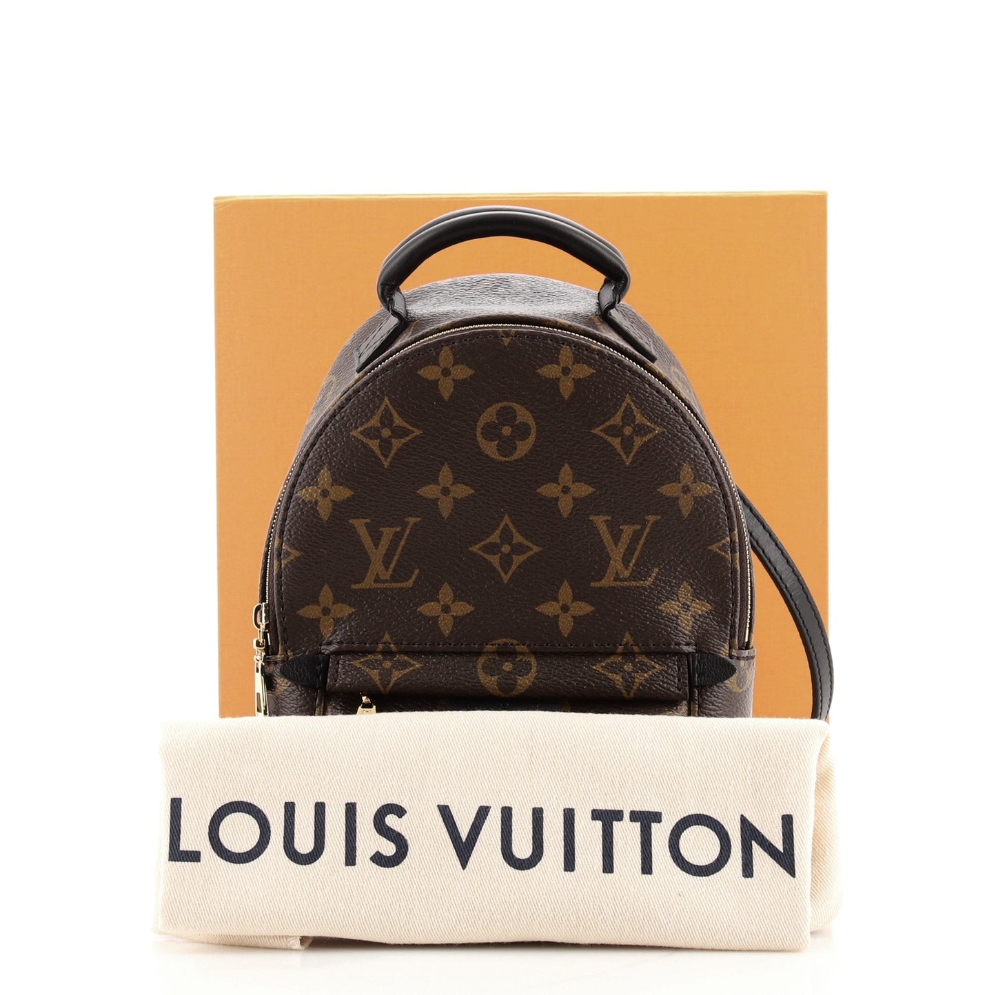 Palm Springs Backpack Monogram Canvas Mini