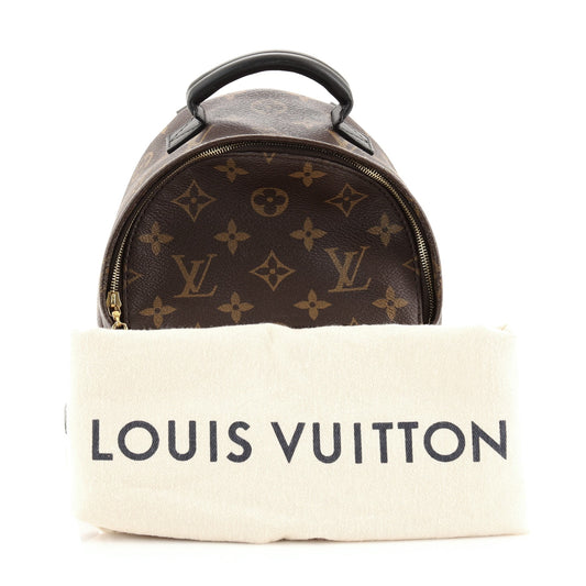Palm Springs Backpack Monogram Canvas Mini