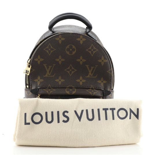 Palm Springs Backpack Monogram Canvas Mini