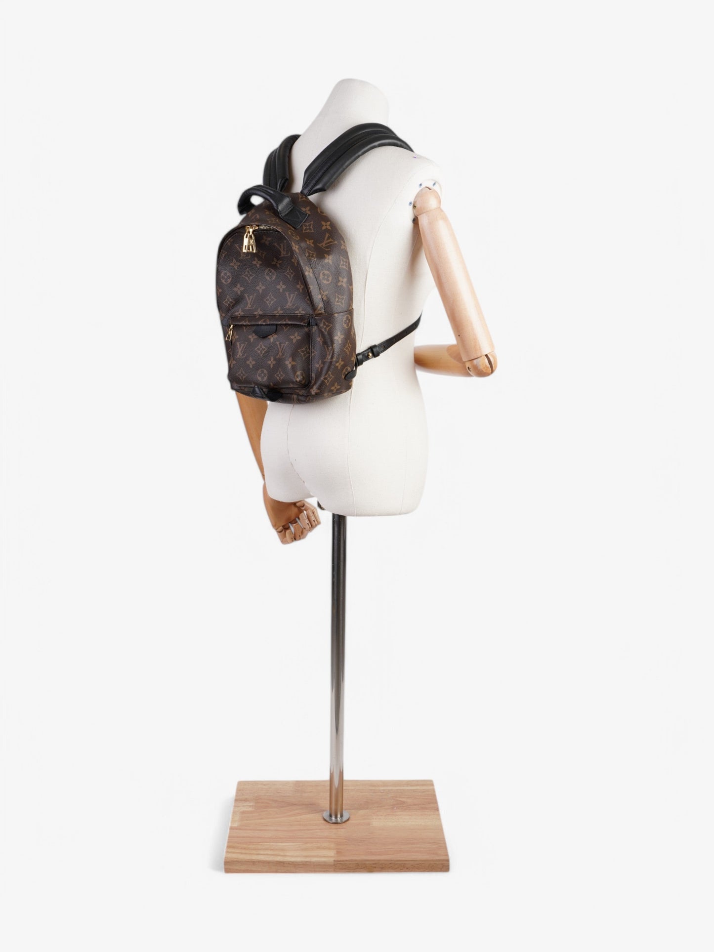 Louis Vuitton Palm Springs Backpack Monogram Coated Canvas PM