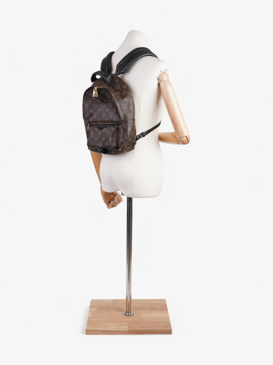 Louis Vuitton Palm Springs Backpack Monogram Coated Canvas PM