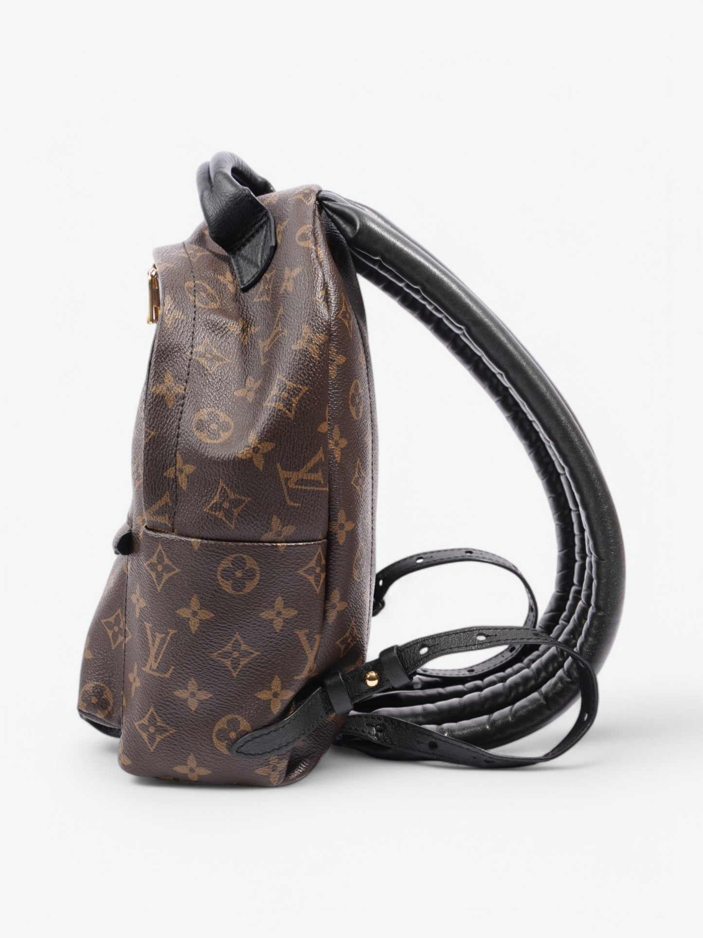 Louis Vuitton Palm Springs Backpack Monogram Coated Canvas PM