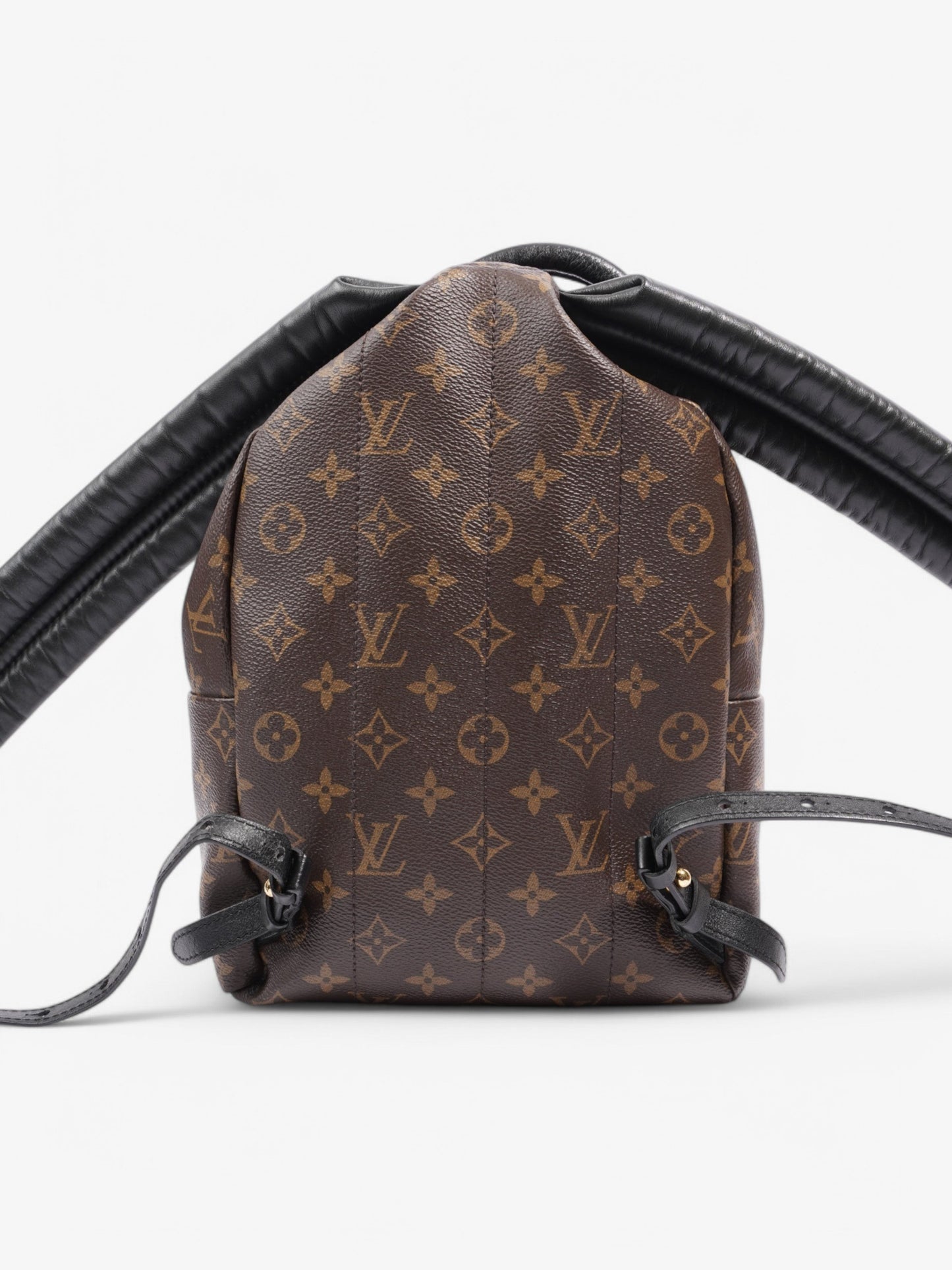 Louis Vuitton Palm Springs Backpack Monogram Coated Canvas PM