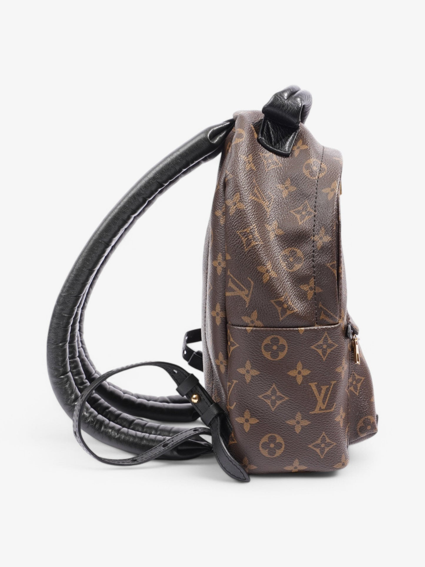 Louis Vuitton Palm Springs Backpack Monogram Coated Canvas PM