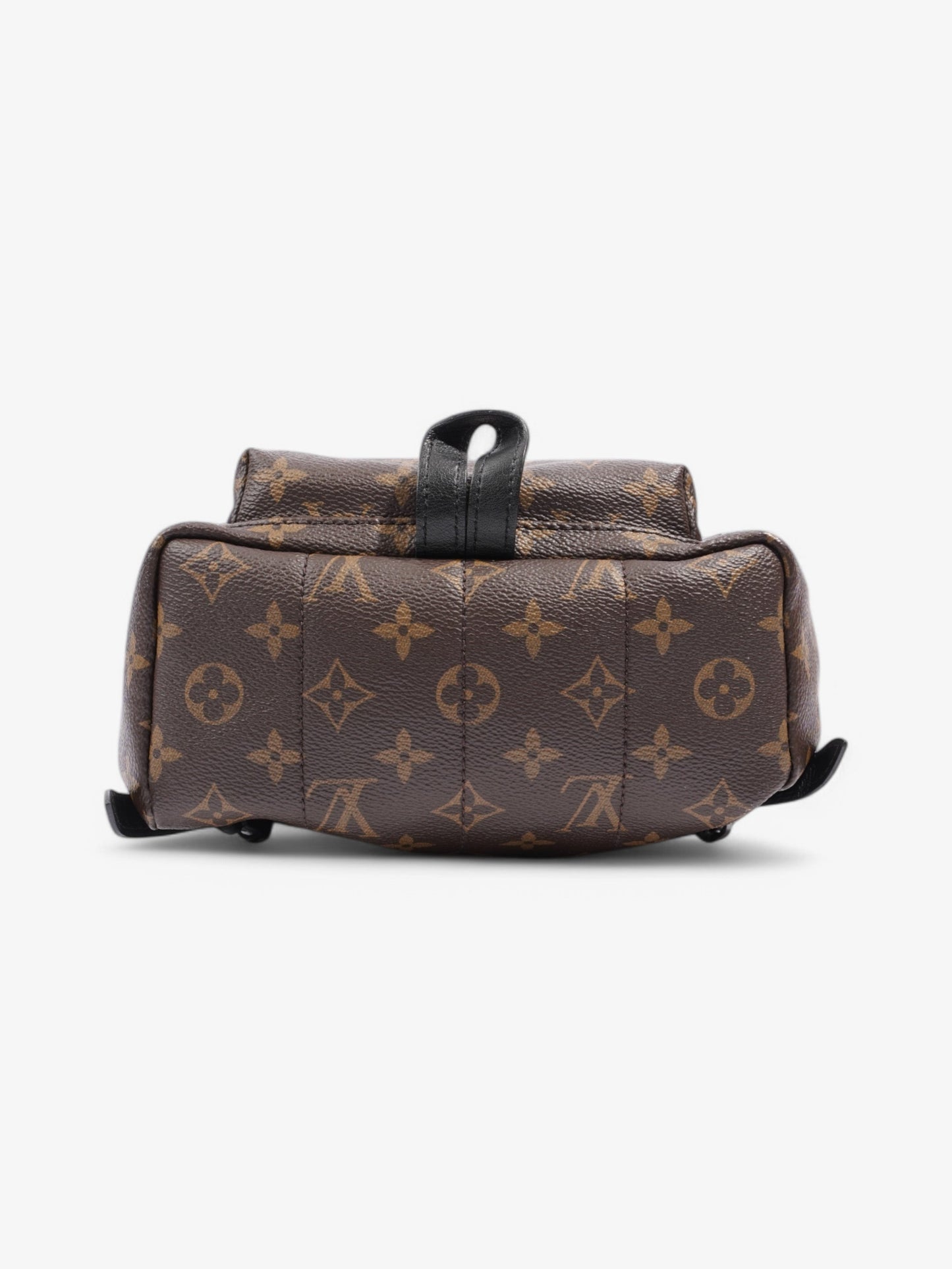 Louis Vuitton Palm Springs Backpack Monogram Coated Canvas PM