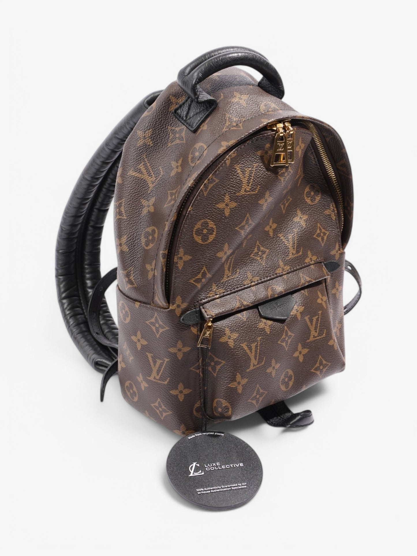 Louis Vuitton Palm Springs Backpack Monogram Coated Canvas PM