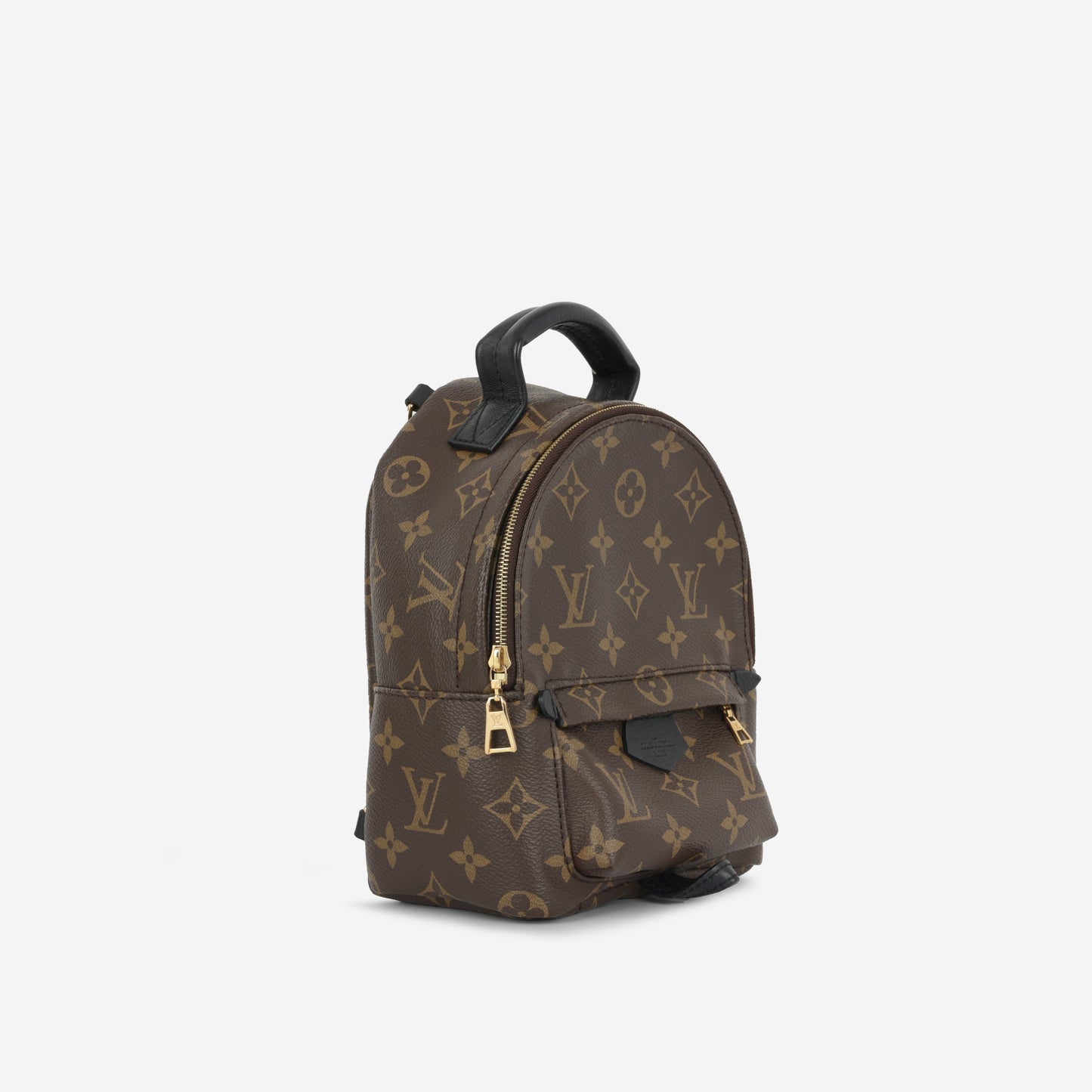 Mini Palm Spring Backpack